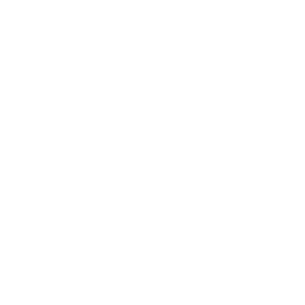 photo icon